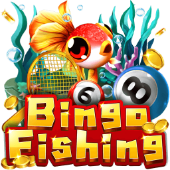 Câu Cá Bingo shb800