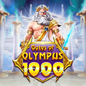 Cổng Olympus 1000 shb800
