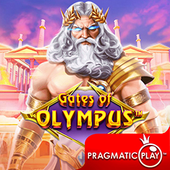 Cổng Olympus shb800